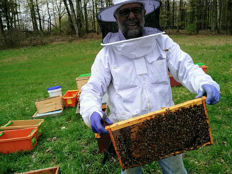 What Are Beekeepers Suits Made Out Of Essential Materials for